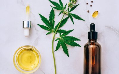 What is the Endocannabinoid System?