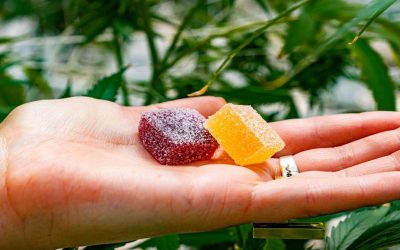 Delta 8 THC and Delta 9 THC: A Big Shift