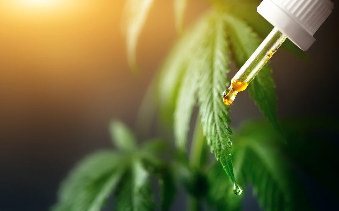 How Cannabis Can Aid In Your Daily Well-Being