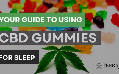 Your Guide to Using CBD Gummies for Sleep Improvement