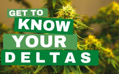 What Is the Difference Between Delta 8, 9, and 10?