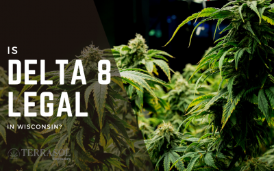 Is Delta 8 Legal in Wisconsin?