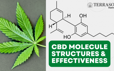 Facts About CBD Molecular Structure and Product Effectiveness