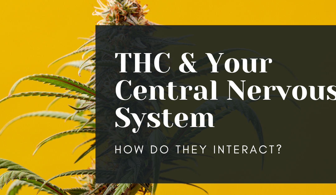 does thc affect the central nervous system