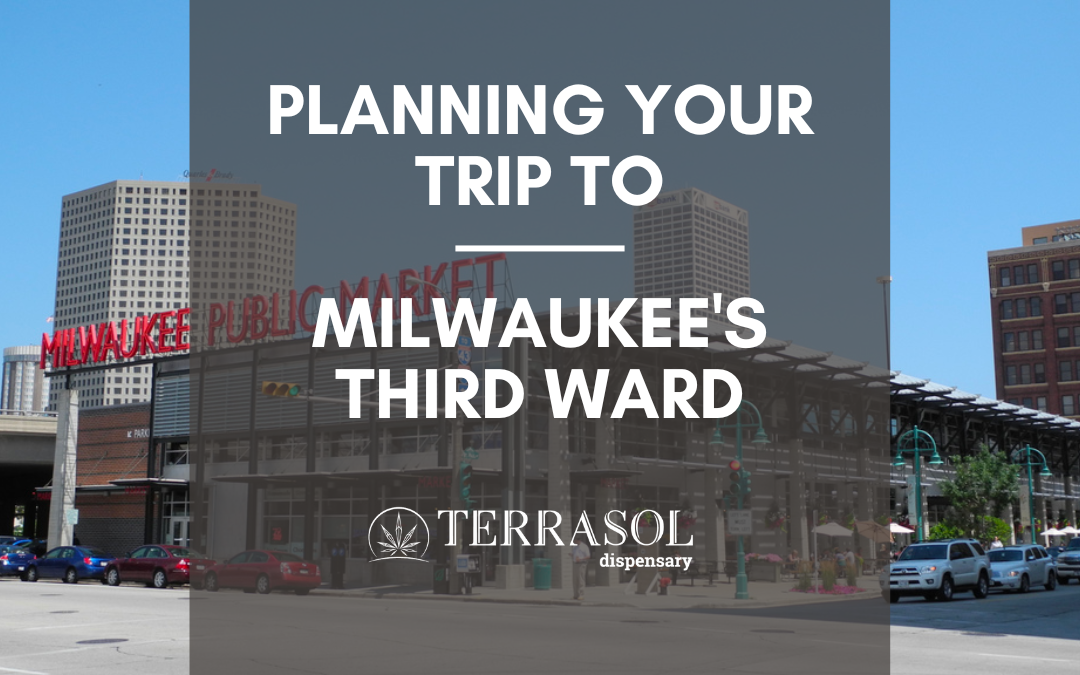 Fun Things To Do in Milwaukee’s Third Ward