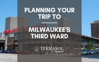 Fun Things To Do in Milwaukee’s Third Ward