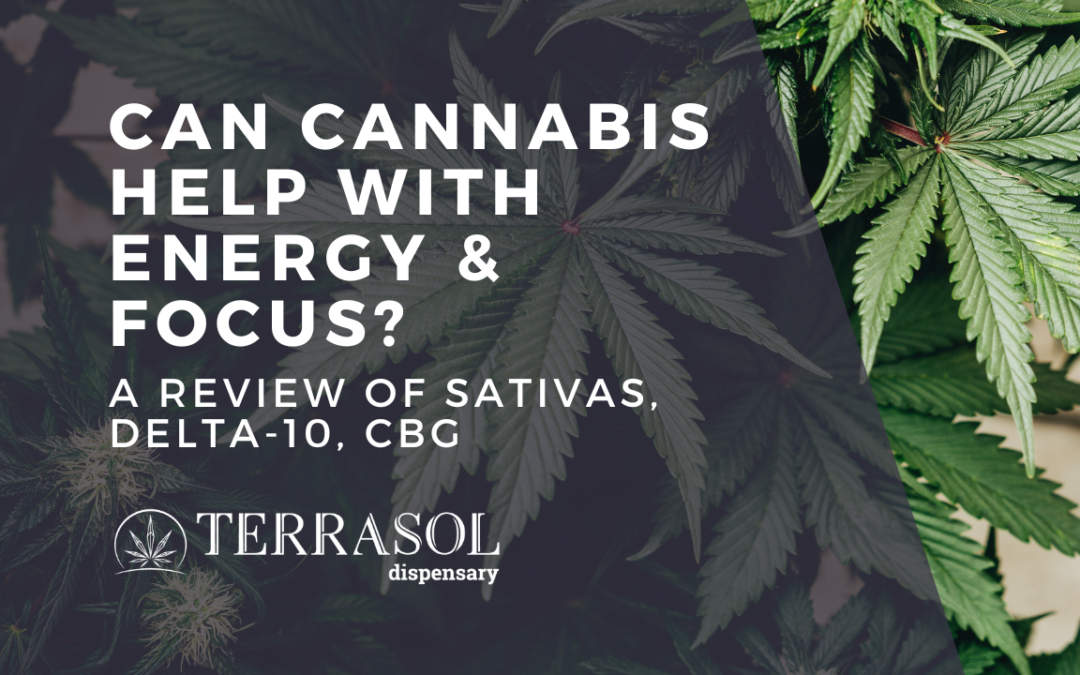 Using Cannabis For Energy and Productivity