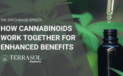The Entourage Effect: How Cannabinoids Work Together for Enhanced Benefits
