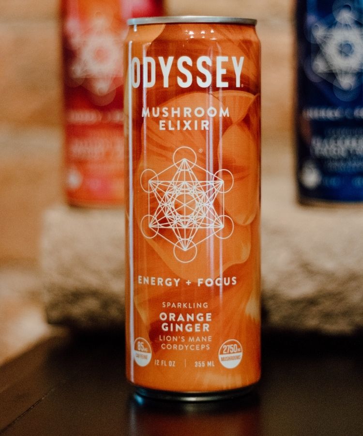 Odyssey-Mushroom-Elixir-Orange-Ginger-Menomonee-Falls Odyssey Mushroom Elixir Orange Ginger Menomonee Falls. TerraSol.