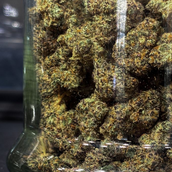 Flower in Menomonee Falls