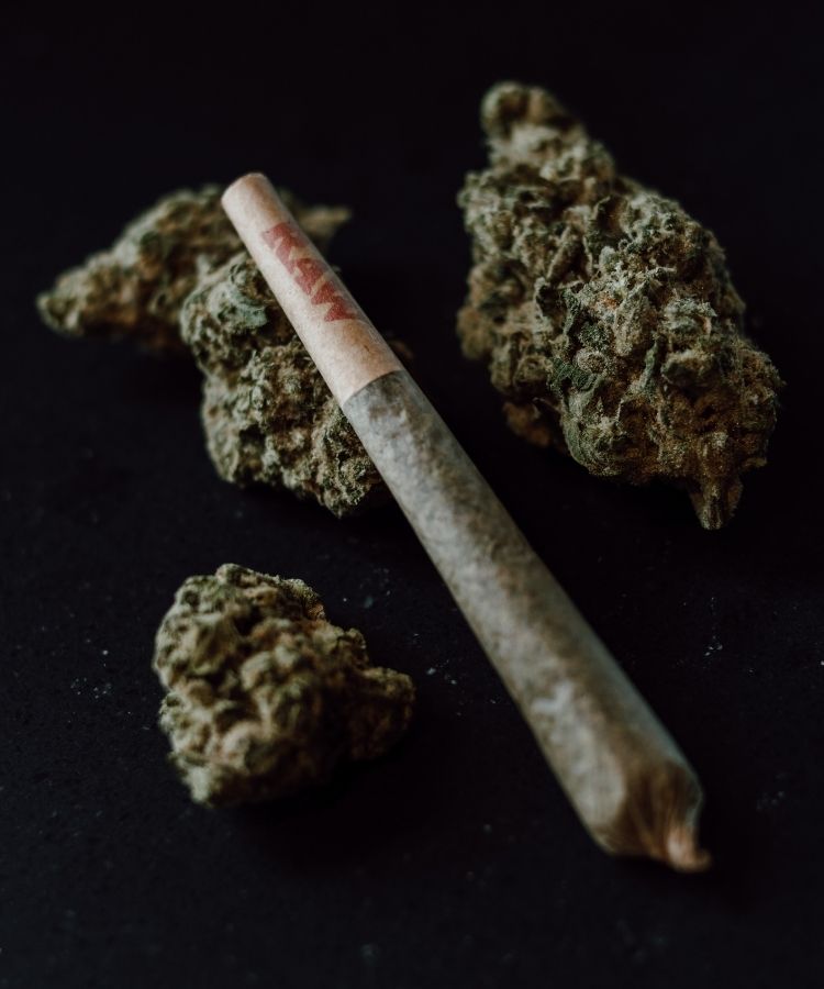 Pre-rolled Joints with cannabis nugs. TerraSol in Menomonee Falls.